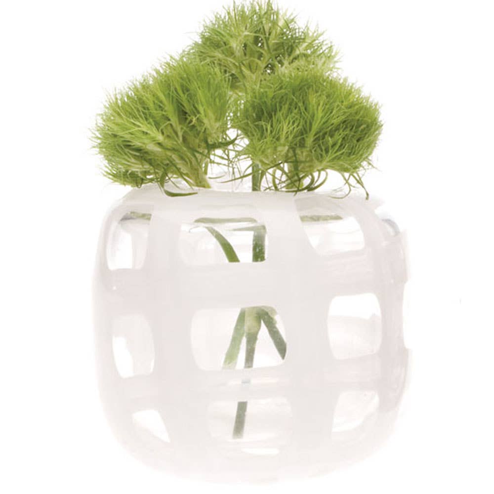 Small Glass Cup