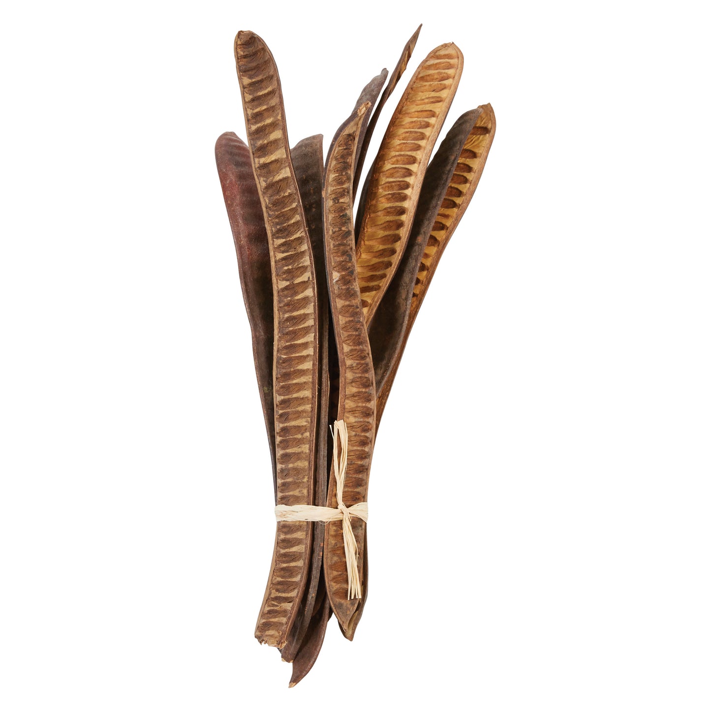 Dried Gulmohar Bunch
