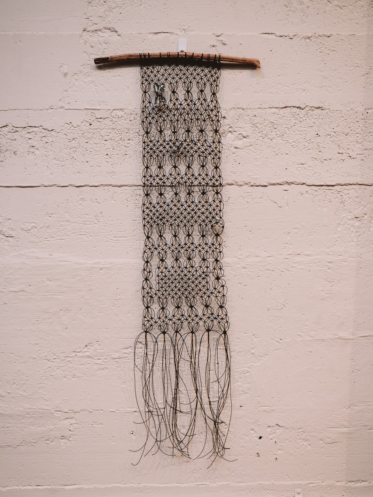 Black Beaded on Driftwood