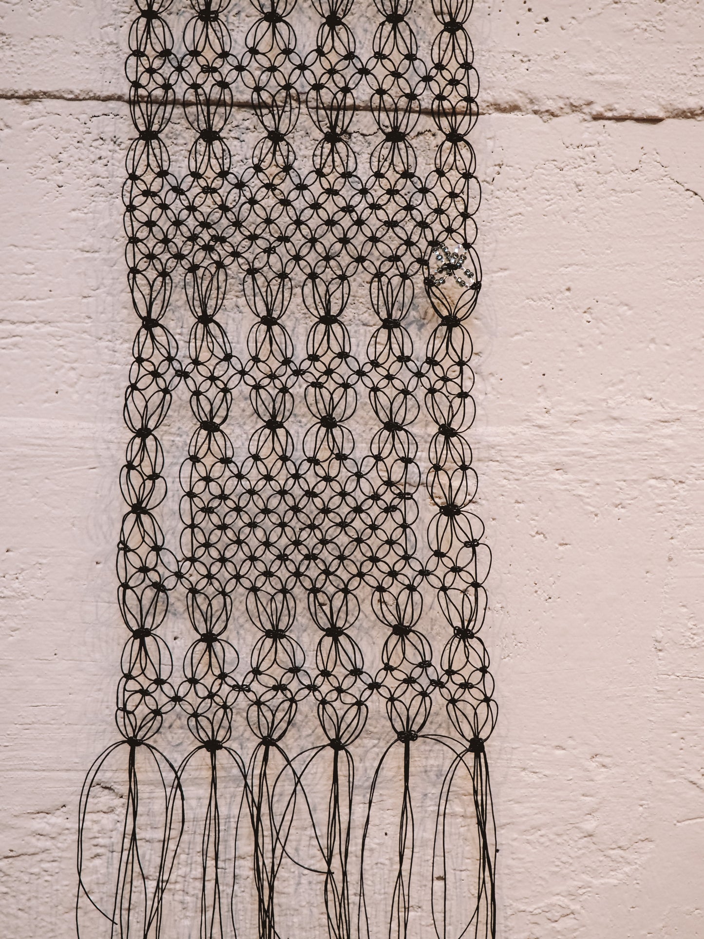 Black Beaded on Driftwood