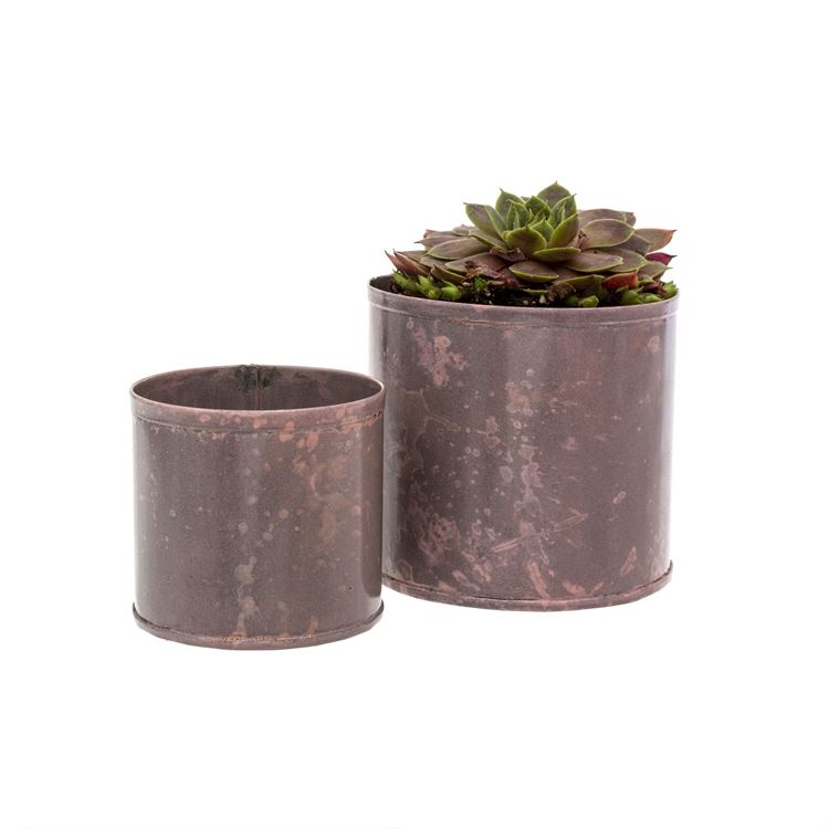 Canyon Pots S/2