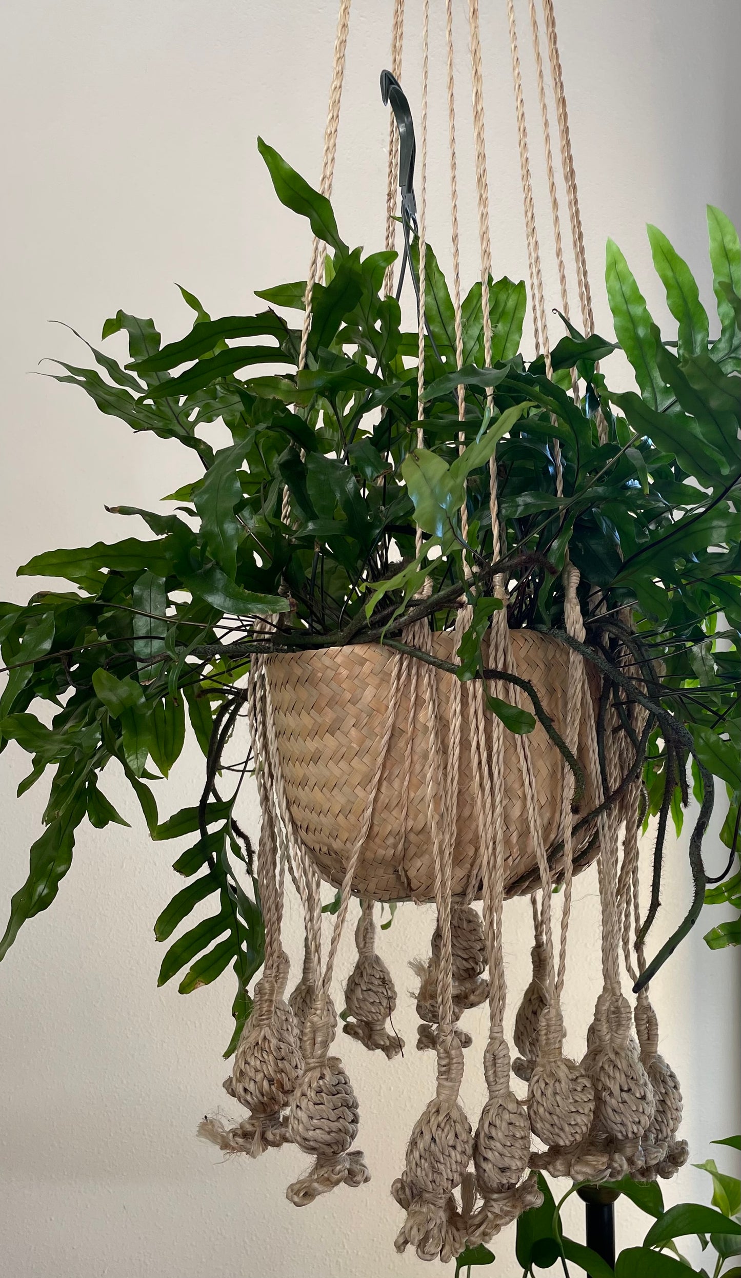 Jute Plant Hanger